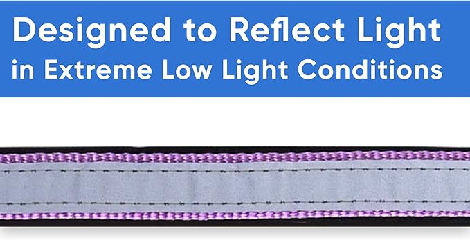Pawtitas Lumberjack Padded Martingale Collar for Dogs | Soft Neoprene Dog Collar for Your pet's Comfort Made with Reflective Band for Maximum Visibility | Fits Small and Large Pets - Large Orchid