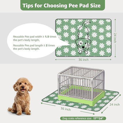 LOOBANI Washable Puppy Pads: Waterproof Reusable Pee Pads for Dogs, Non-Slip and Leak-Proof Dog Pee Mat, Absorbent Dog Training Pads for Puppy Playpen, Crate, Potty Training (36"x24", 2 Packs)
