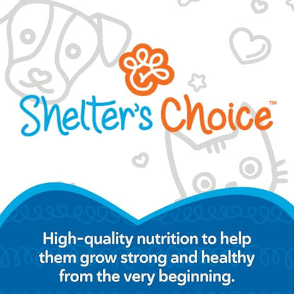 Revival Animal Health Shelter’s Choice Kitten Milk Replacer Powder, Complete and Balanced Milk Formula for Kittens and Adult Cats, Supports Healthy Growth and Digestion, 3.5 lb
