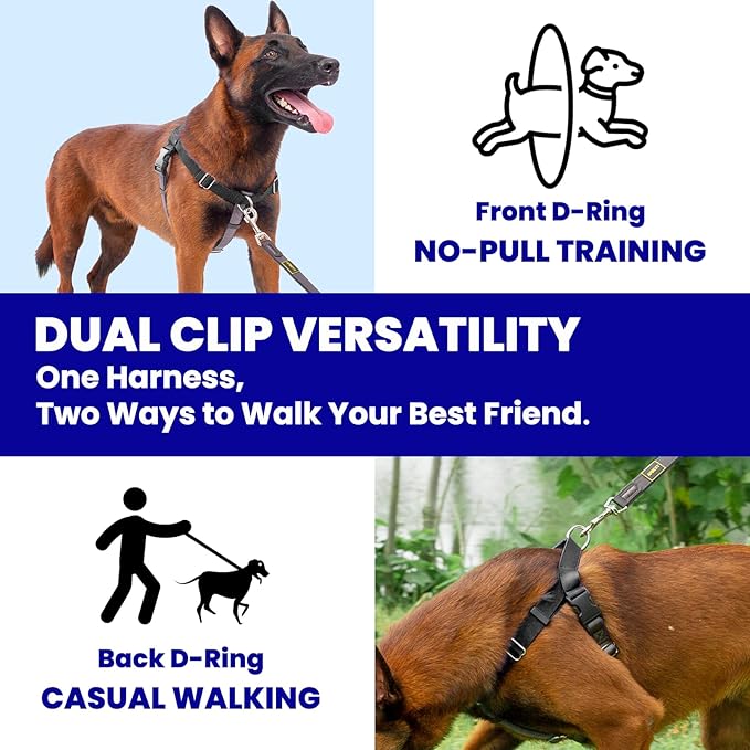 Freedom No Pull Dog Harness for Large Dogs, Easy Walker, Anti Pull with Two Stainless D-Rings, Comfortable, Sewn-in Instructions Tags for Easy Use (Black, XL)