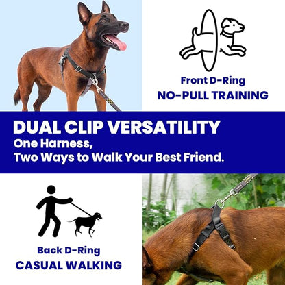 Freedom No Pull Dog Harness for Large Dogs, Easy Walker, Anti Pull with Two Stainless D-Rings, Comfortable, Sewn-in Instructions Tags for Easy Use (Black, XL)