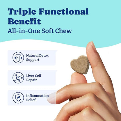 Milk Thistle Liver Support Chews for Dogs – Soft Chews with NAC, Curcumin, Choline & Dandelion – Supports Liver Function, Antioxidant Defense & Immune Health – Duck & Pear Flavor – 120 Count