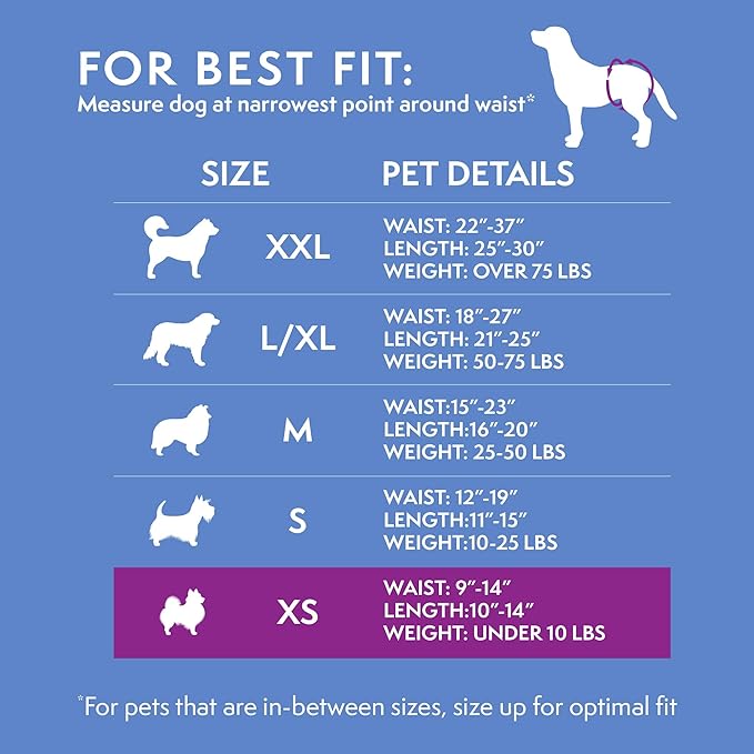 Simple Solution Disposable Dog Diapers, Female Dog Diapers, Puppy Potty Training, Incontinence and Heat Cycle Protection, Extra Small Diapers for Dogs, 9-14 Inch Waist, 30 Count