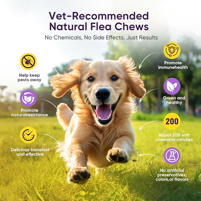 Dog Flea and Tick Treatment Chewable 200 Treatment Chews Natural Soft Chew Fleas Ticks Treatment Dog Oral Chewables Support Supplement