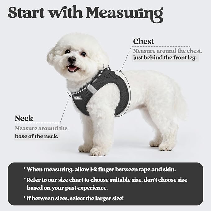 rabbitgoo Dog Harness Small Medium Sized and Leash Set, Step in Soft Light Puppy Vest, Breathable Mesh Pet Harness, Reflective for Safe Easy Walking, Black L