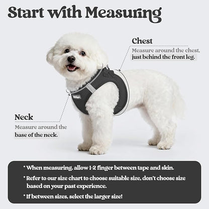 rabbitgoo Dog Harness Small Medium Sized and Leash Set, Step in Soft Light Puppy Vest, Breathable Mesh Pet Harness, Reflective for Safe Easy Walking, Black L
