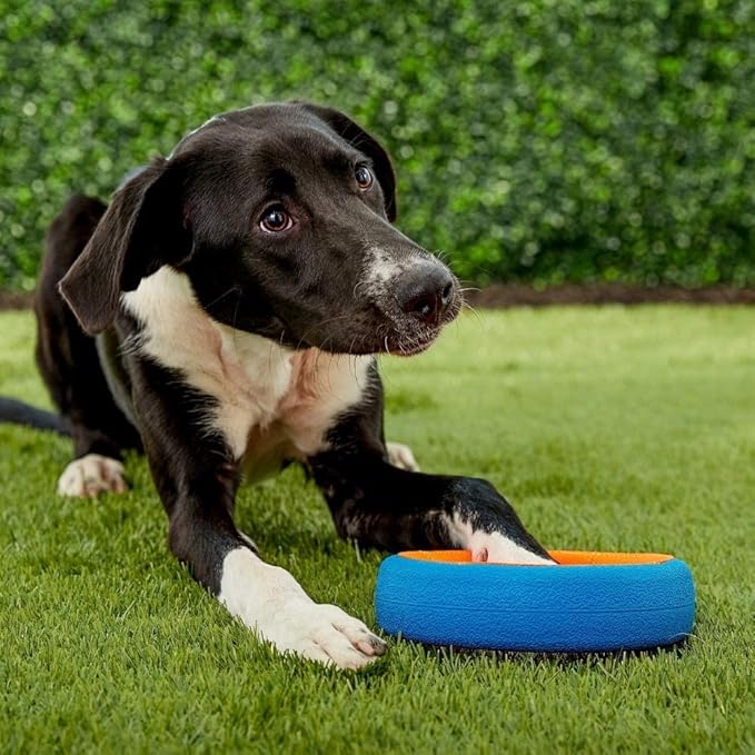 Chuckit! Fetch Wheel Outdoor Dog Toy, Small, For Small Breeds