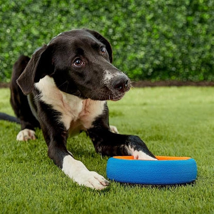 Chuckit! Fetch Wheel Outdoor Dog Toy, Small, For Small Breeds