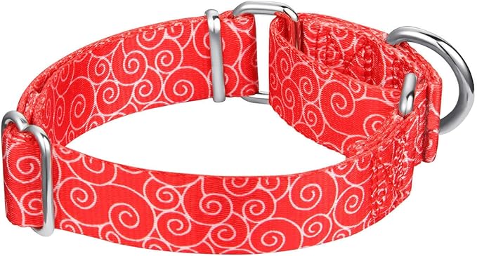 Martingale Collars for Dogs, No Pull Anti-Escape Pet Collar, Heavy Duty for Medium Dogs, Adjustable 14 Inch to 21 Inch, Red, Lucky Clouds