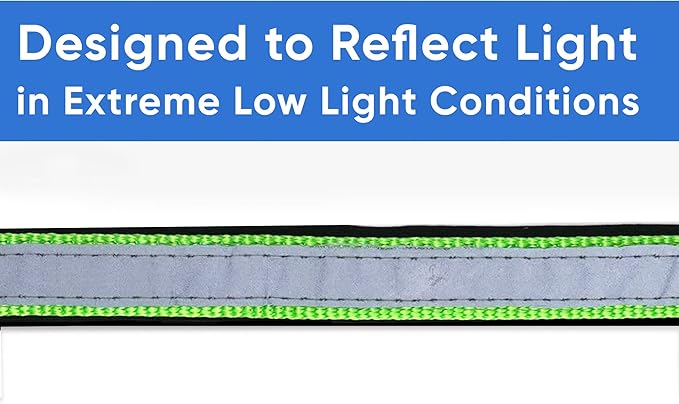 Pawtitas Lumberjack Padded Martingale Collar for Dogs | Soft Neoprene Dog Collar for Your pet's Comfort Made with Reflective Band for Maximum Visibility | Fits Small and Large Pets - Medium Green