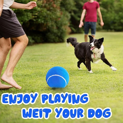 Banfeng Big Tennis Ball for Dogs, Giant Dog Tennis Ball Toy Large Outdoor Sports Gift for Small Medium Large Dog (Blue, 9.5 inch)