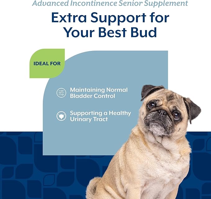 NaturVet Senior Advanced Incontinence Dog Supplement – Helps Support Dog’s Bladder Control, Normal Urination – Includes Synergistic Blend of Botanicals – 60 Ct. Soft Chews