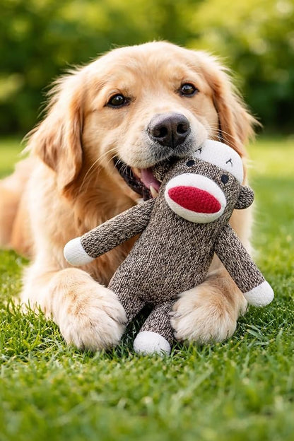 Sock Monkey Dog Toy | Squeaky Monkey Toy | Plush Monkeys Dogs Toys | Interactive Squeaky Monkeys | Small/Medium Breed Dogs Toys | Multicolor | 6"