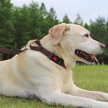 Joytale Martingale Collar for Dogs, Reflective Heavy Duty for Safety, Quick Release Buckle, Adjustable Nylon Collars for Large Dogs Walking Training, Brown,L