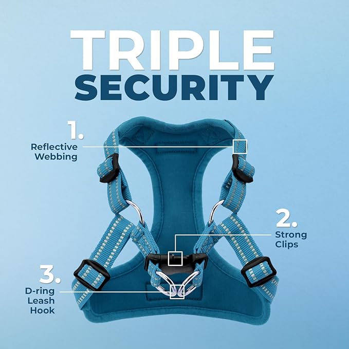 Best Pet Supplies Voyager Adjustable Step-in Flex Breathable Mesh Dog Harness for Small Medium Large Dogs Leash Set (Turquoise), M