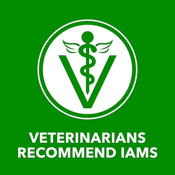 Iams Proactive Health Wet Dog Food, Chicken Chunks in Gravy, 13 oz., Pack of 24
