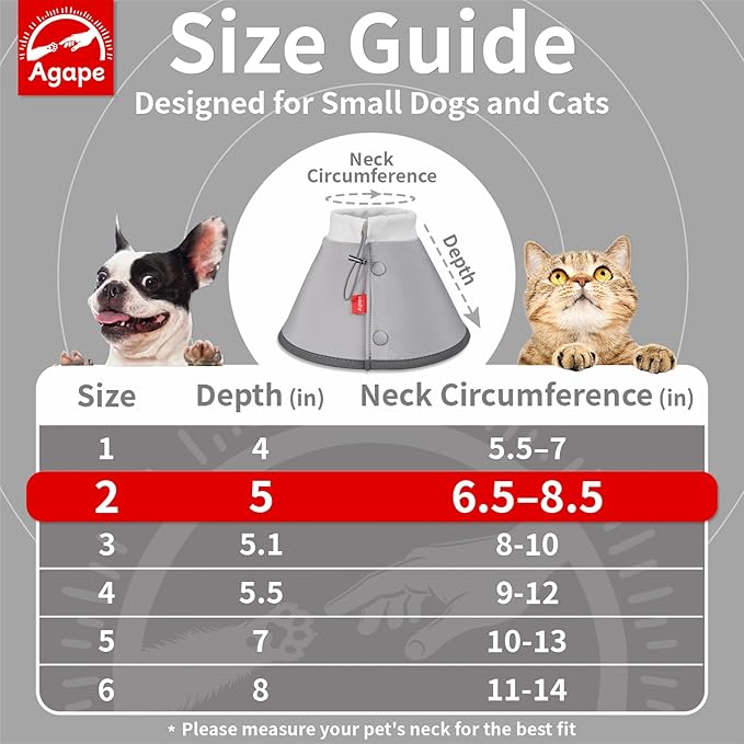 Agape Soft Dog Cone for Small Dogs & Cats (Gray (Small Dogs Cone), 2 (Neck:6.5"-8.5"))