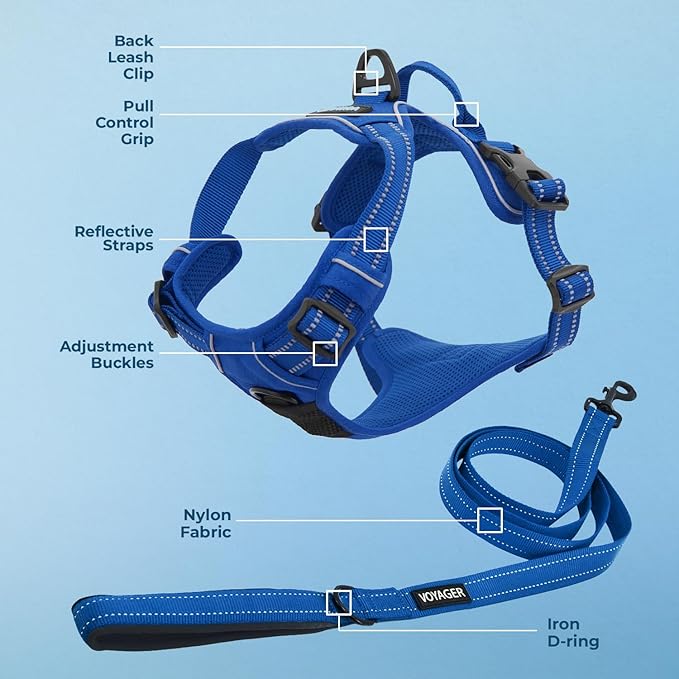 Voyager Dog Harness Dual Leash Attachment No-Pull Control Adjustable Soft but Strong Pet Harness for Medium and Large Dogs with 3M Reflective Technology, Leash Set Royal Nylon, S (Chest: 16-20")