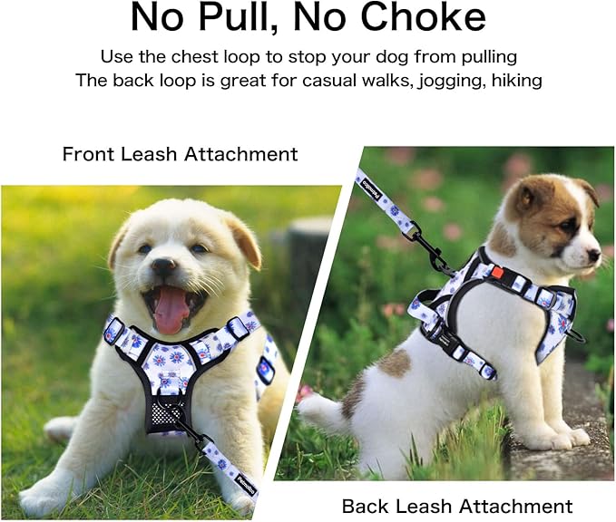 Petmolico No Pull Dog Harness and Leash Set, No Choke 4 Leash Attchments Easy Control Handle Soft Padded Reflective Vest Dog Harness for Medium Dog Breed, Daisy Medium