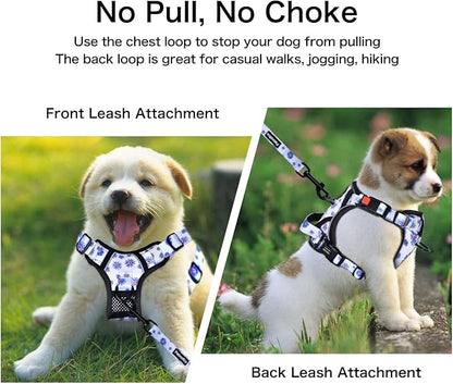 Petmolico No Pull Dog Harness and Leash Set, No Choke 4 Leash Attchments Easy Control Handle Soft Padded Reflective Vest Dog Harness for Medium Dog Breed, Daisy Medium