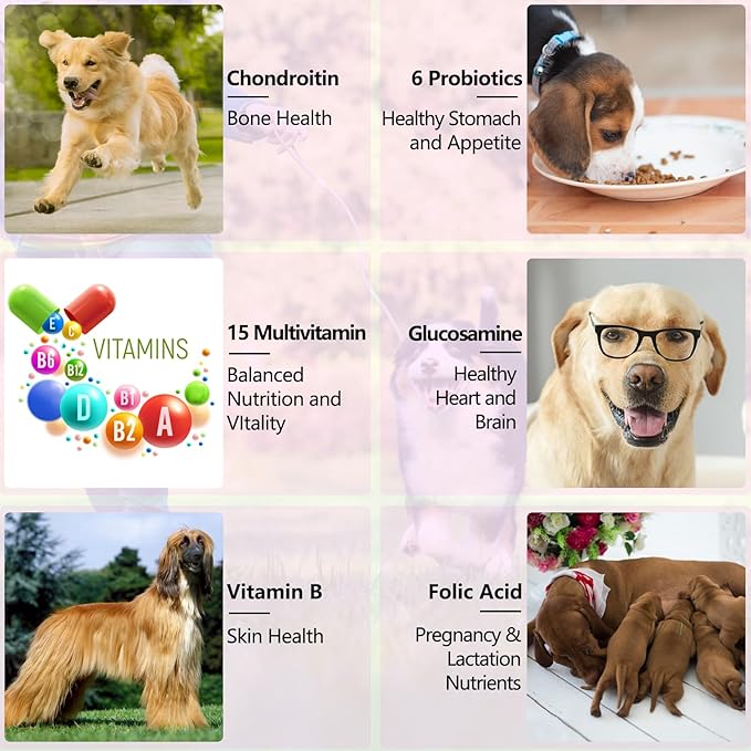 Dog Multivitamin,15 in 1 Dog Multivitamin Liquid Drops Supplements, Dog Vitamins for Heart Health, Bones, Joint, Skin & Coat, Bladder, Immune System Support 60ml