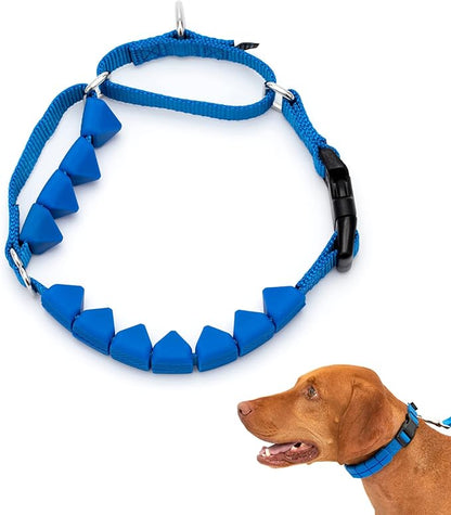 PetSafe Soft Point Training Collar - Comfortable No-Pull Adjustable Quick-Release Collar with Removable Soft Rubber Points - Pain-Free Training for Better Leash Manners - Medium - Blue