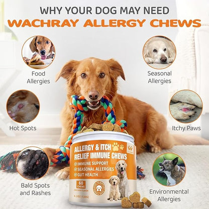 Dog Allergy Relief Chews - Advanced Dog Allergy Chews - Dоg Itching Skin Relief Treatment Pills with Probiotics - Immune Support & Skin Relief for Coat, Seasonal Allergies - 60 Treats Chicken