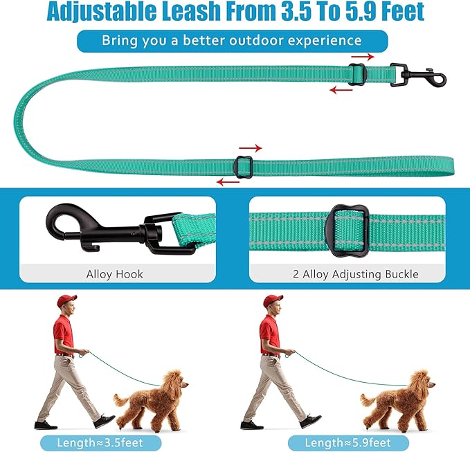 Martingale Dog Collar and Leash Set Martingale Collars for Dogs Reflective Martingale Collar for Small Medium Large Dogs(Mint Green&L)