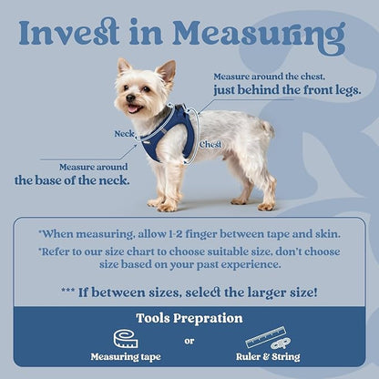 rabbitgoo Small Dog Harness, Step-in Soft Mesh Puppy Vest with Safety Buckle, Breathable Reflective Pet Harness for Extra Small Dogs, Navy Blue XXS