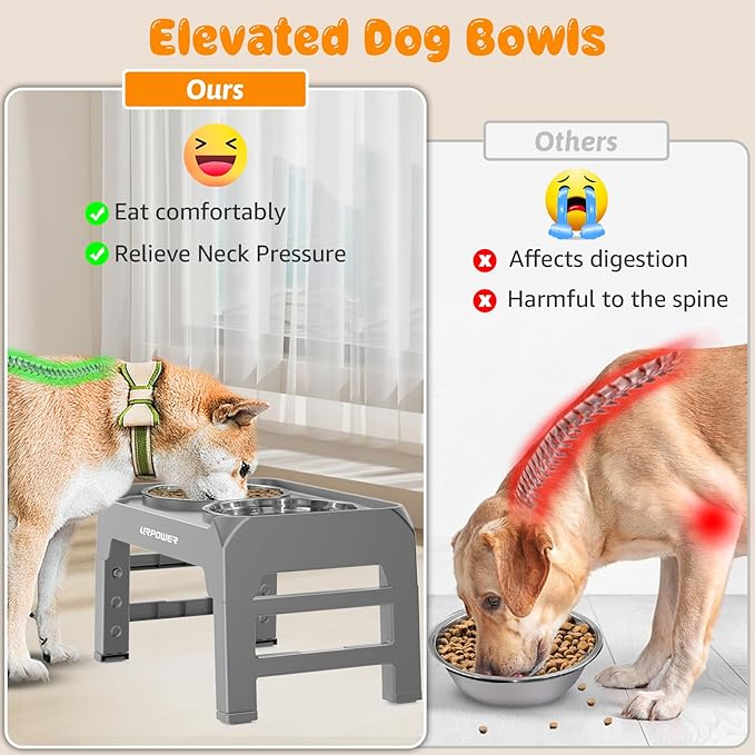 URPOWER Raised Dog Bowls 4 Height Adjustable Elevated Bowl Stand with Stainless Steel Water Bowl Non-Slip Dog Food Bowls Stand for Small Medium Large Dogs and Pets