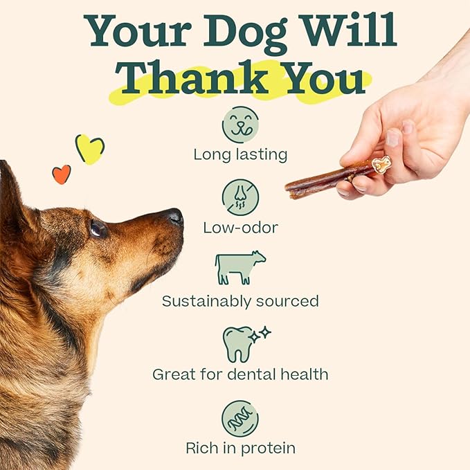 WOOF Bully Sticks Dog Treats - Chew Sticks for Dogs - Long-Lasting Dog Chew Treats - Made with Free-Range, Grass-Fed Beef - 6" Sticks - 10pk