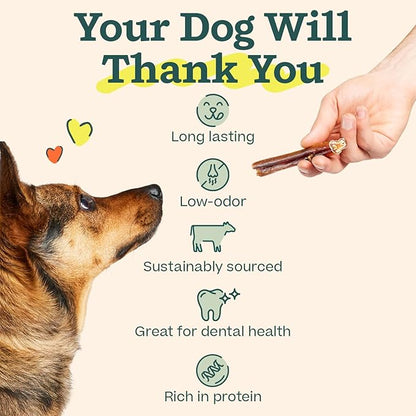 WOOF Bully Sticks Dog Treats - Chew Sticks for Dogs - Long-Lasting Dog Chew Treats - Made with Free-Range, Grass-Fed Beef - 6" Sticks - 25pk