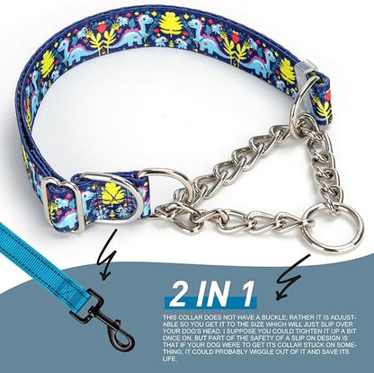 Martingale Dog Collar with Chain, Reflective Adjustable Training Collar with Dinosaur Design for Medium, Large, XL Dogs(Dinosaur Medium)