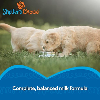 Revival Animal Health Shelter’s Choice Kitten Milk Replacer Powder, Complete and Balanced Milk Formula for Kittens and Adult Cats, Supports Healthy Growth and Digestion, 1 lb