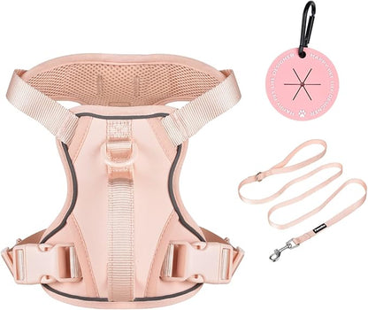Petmolico Dog Harness for Small Dogs, Cute Harness Vest with Two Leash Clips and Soft Handle, Reflective Easy Walk Puppy Vest - Pink, Large