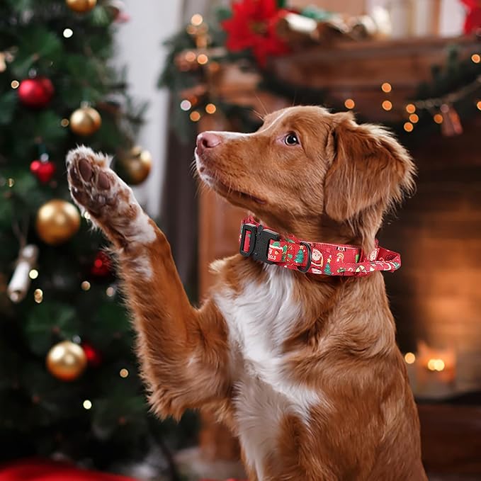 DAGANXI Christmas Tactical Dog Collar, Adjustable Military Training Nylon Dog Collar with Control Handle and Metal Buckle for Medium and Large Dogs, with Patches and Airtags Case (XL, Christmas red)
