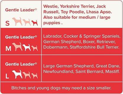 Beaphar | Gentle Leader | Head Collar for Small Dogs | Stops Pulling On The Lead | Training Aid with Immediate Effect | Endorsed by Behaviourists | Black x 1