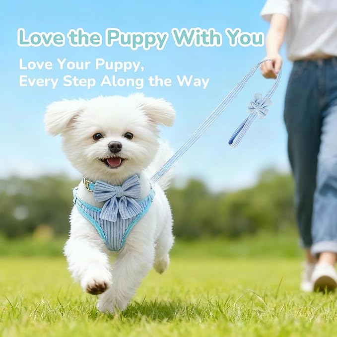 Small Dog Collar Harness and Leash Set, Dog Harness no Pull with Bowtie, Breathable Cotton Adjustable Pet Puppy Harness, Easy Walk Dog Harness, M(16-21")