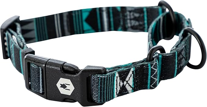 Wolfgang Heavy Duty Martingale Dog Collar with Quick Release Nylon Buckle for Walking & Training, WesternSky Print, Small
