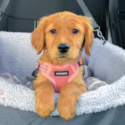 Best Pet Supplies Voyager Adjustable Step-in Flex Breathable Mesh Dog Harness for Small Medium Large Dogs Leash Set (Pink), M