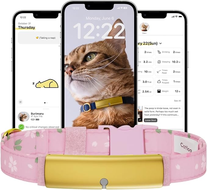 Health Tracker for Cats - Smart Cat Collar with Safety Breakaway Buckle for Indoor Cats, Wellness Alerts, Real-time Monitoring (Kimono (Sakura),XS)