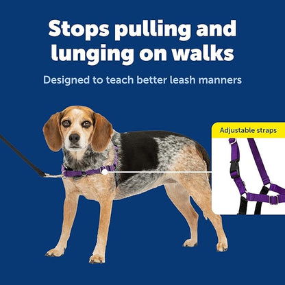 PetSafe Easy Walk Harness for Dogs - Pull-Free Walks - Patented Martingale Loop Design - Front Chest Leash Attachment - Comfort Straps - Breathable Harness Design - Small/Medium, Deep Purple/Black