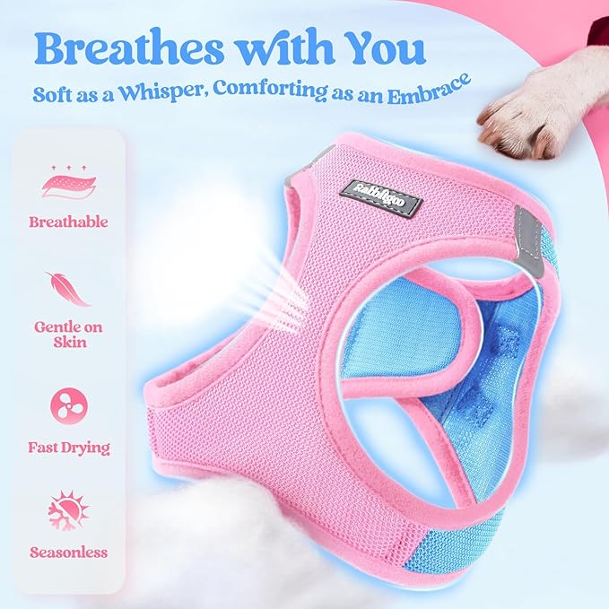 rabbitgoo Dog Harness Small Sized and Leash Set, Step in Soft Light Puppy Vest, Breathable Mesh Pet Harness, Reflective for Safe Easy Walking, Blue & Light Pink XXS
