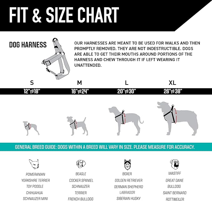 Wolfgang Heavy Duty Adjustable Dog Harness, Pull-Tested for Walking & Training, LazyDaisy Print, Medium