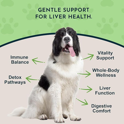 Animal Essentials Liver Defense for Dogs & Cats - Liver Support, Milk Thistle, Dandelion, Liquid Supplement, Detox Blend, Liver Cleanser - 2 Fl Oz