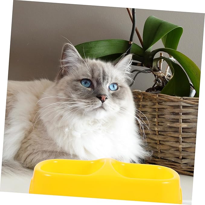 Practical Double-Design Pet Bowl Dog Feeder Dog Food Container for Indoor Outdoor