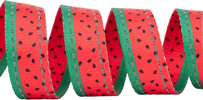 EcoBark Dog Leash - Soft & Reflective Comfort Leashes with Padded Handle - Safe, Strong, & Durable for Small, Medium or Large Dogs (Watermelon)