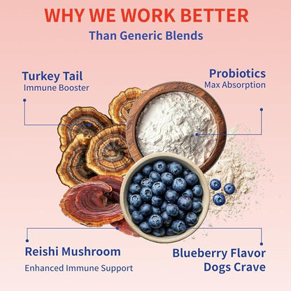 Turkey Tail Mushroom for Dogs – Lipoma Treatment for Dogs – Mushroom Supplement for Lumps and Bumps - Dog Wart Remover - Dog Probiotic Mushroom Powder