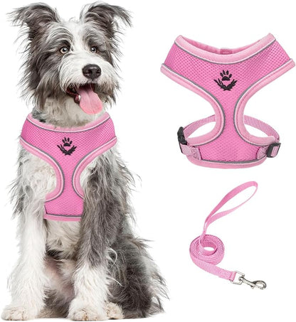 PUPTECK Soft Mesh Dog Harness and Leash Set Pet Puppy Cat Comfort Padded Vest No Pull Harnesses