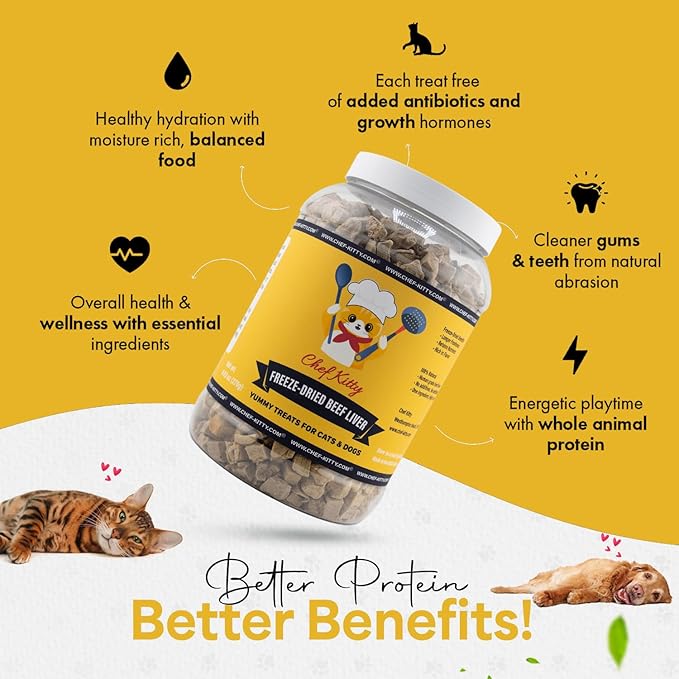 Freeze Dried Beef Liver Dog Treats | Healthy Kitten Treats, Single Ingredient, Raw | High Protein Cat & Dog Food Toppers, Grain-Free | Inspected & Tested in USA | 9.5 oz